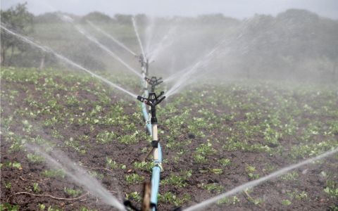 翼詠科技展出3項最新產品，提供精準灌溉新選擇